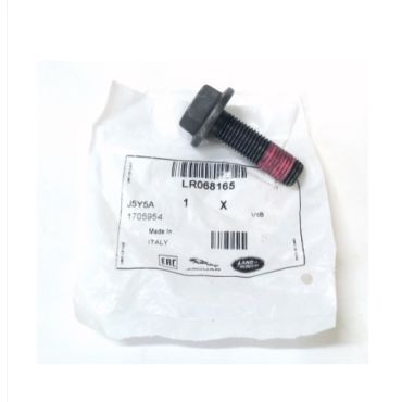 Camshaft Bolt (Genuine) LR068165
