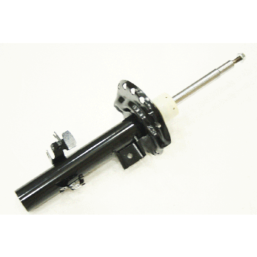 Macpherson Strut (BWI) LR078496W