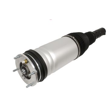 Shock Absorber Strut Damper RH 5.0NA 3.0V6 (Dunlop) LR079515 *See Info*