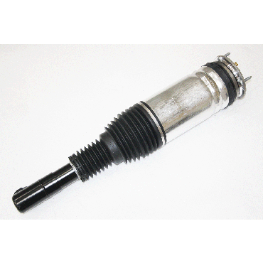Shock Absorber Strut Damper RH 5.0NA 3.0V6 (BWI) LR079515 *See Info*