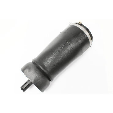 Air Spring Bag Rear D5 RH (BWI) LR081576 