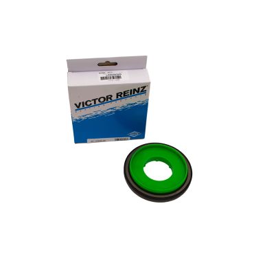 Crankshaft Rear Oil Seal Ingenium (Reinz) LR084639