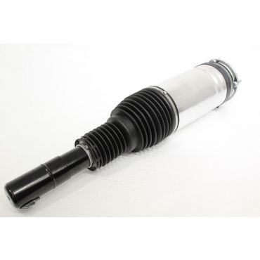 Air Suspension Strut (BWI) LR087088