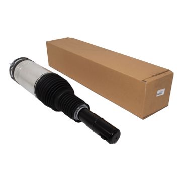 Shock Absorber Strut Damper LH (BWI) LR087096 *See Info*