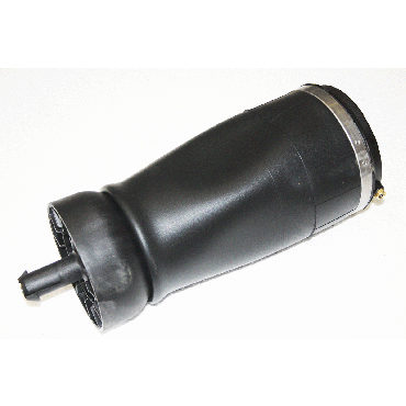 Air Spring Bag Rear D5 LH (BWI) LR089235