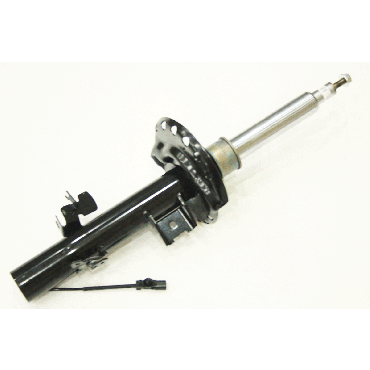 Macpherson Strut (BWI) LR090481W