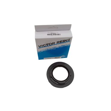 Crankshaft Front Oil Seal For AJ200D AJ200P (REINZ) LR093852