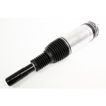 Air Spring + Damper Assembly - Front LH 2.0L (BWI) LR100651W