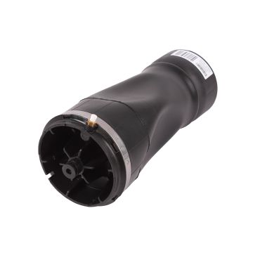 Spring - Air Suspension (BWI) LR101595W