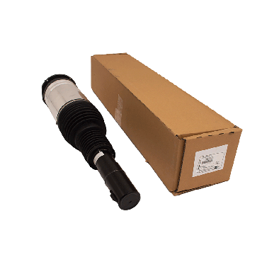 Shock Absorber (BWI) LR102250