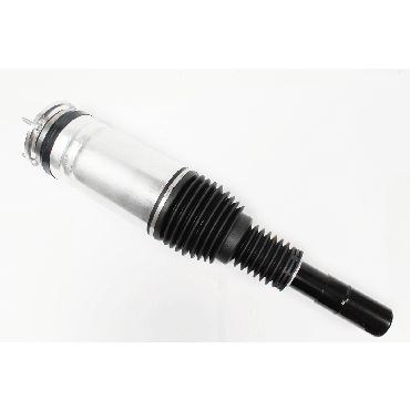 Air Suspension Strut RHF ACE (OEM) LR102248 *SEE INFO*