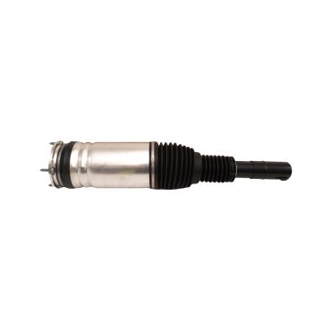 Shock Absorber (BWI) LR102252W