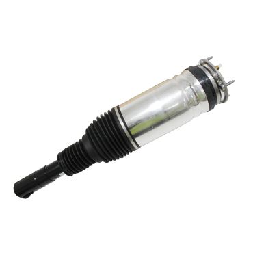 Macpherson Strut (BWI) LR103607