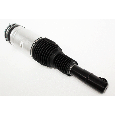 Macpherson Strut (BWI) LR103607W