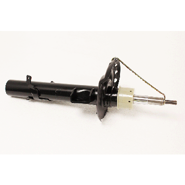 Macpherson Strut (BWI) LR103609