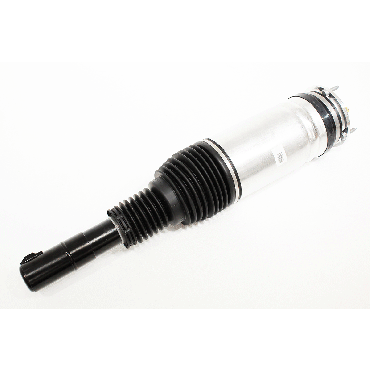 Macpherson Strut (BWI) LR103609W