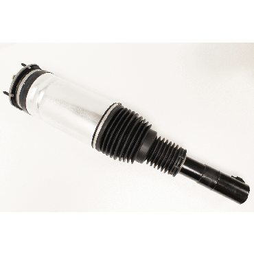 Macpherson Strut D5 (BWI) LR123712W