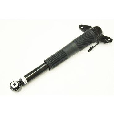 Shock Absorber Rear RH Dynamic (BWI) LR124639