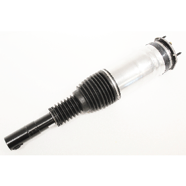 Air Suspension Strut LHF 90 (BWI) LR132756