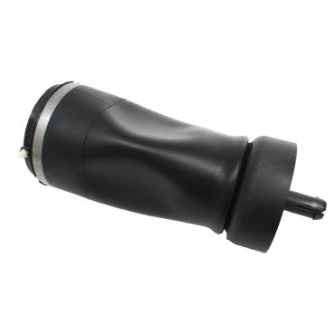 Air Bag Suspension Rear RH L663 90/110 (BWI) LR132787