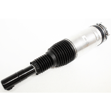 Shock Absorber (BWI) LR138998W