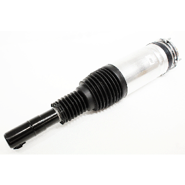 Shock Absorber (BWI) LR147905W