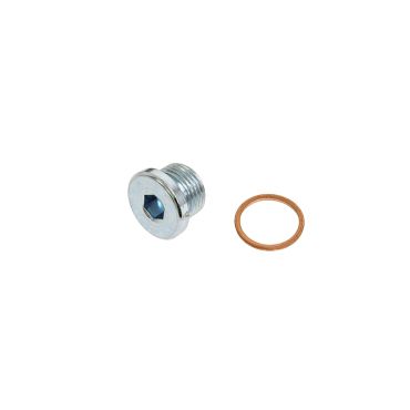 Sump Plug And Washer 4.4 V8 Petrol NC10 NC11 (Aftermarket) LR158345