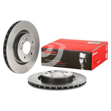 Brake Disc Rear (Brembo) LR161897 LR084067 *Pair*