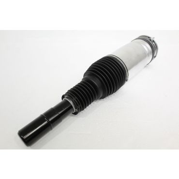 Air Spring + Damper Assay (BWI) LR174128W