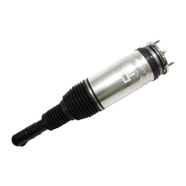 Air Spring + Damper Assy (BWI) LR174129W