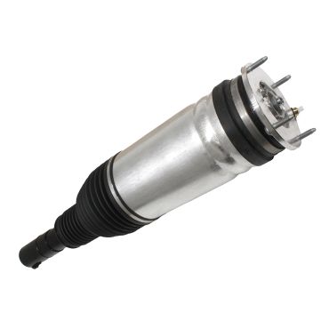 Air Suspension Strut RHF 130 (BWI) LR178633