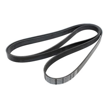 Belt Primary 5.0 (Dayco) LR035542 LR184623 *SEE INFO*