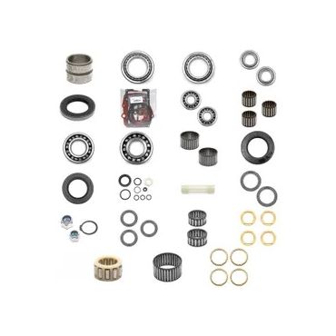 Rebuild Kit LT95 2 (EAC) LT95SE