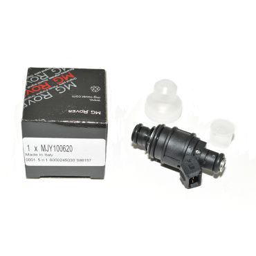 Injector 2.5 V6 *Black* (OEM) MJY100620L