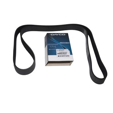 BELT PQS000030G