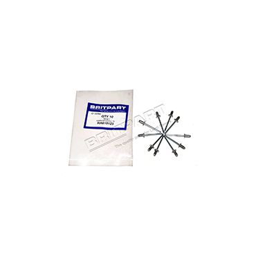 RIVET (OEM) RA610123