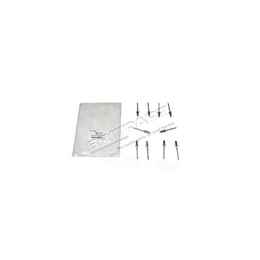 RIVET (OEM) RA610253L