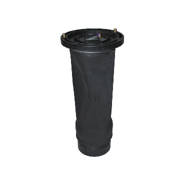 Air Suspension Spring Rear D2 (Dunlop) RKB101200 00173A DAS10132