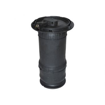 Air Spring Rear P38 (Dunlop) RKB101460 00304A 