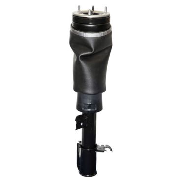 Air Spring Strut Front RH L322 Petrol 06 On (DUNLOP) LR032563 RNB501520 RNB500540 RNB501340 