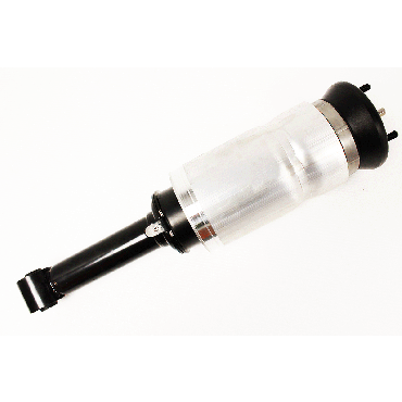 Shock Absorber - Front Suspension (BWI) RNB501580W