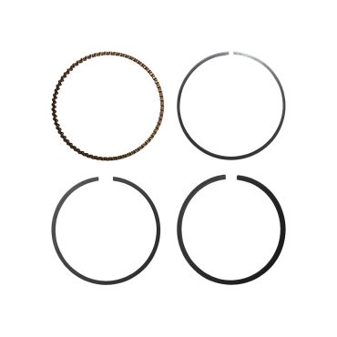 Piston Rings V8 3.9/4.2 *STD* (Hastings) RTC6066