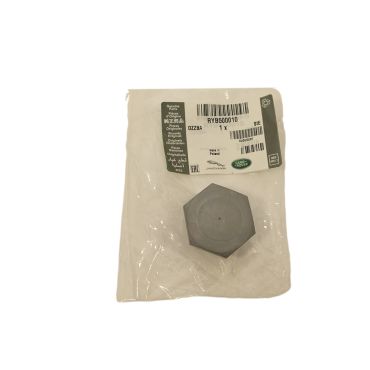 ACE Valve Block Drain Plug (Genuine) RYB500010