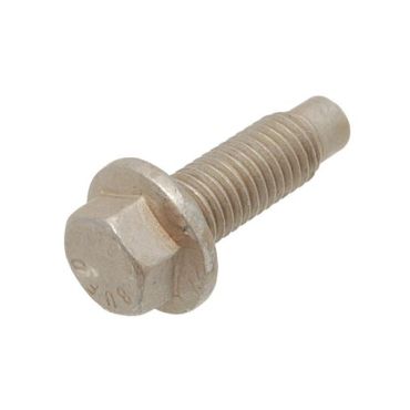 Nut Bolt M10 (Genuine) RYG500270