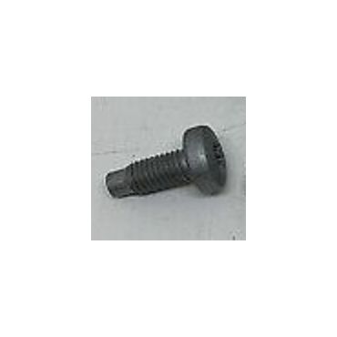 Screw (Genuine) RYP500980