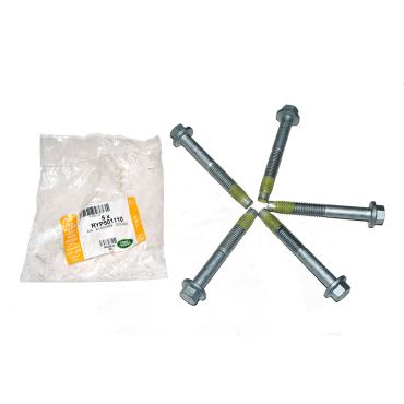 SCREW (GENUINE) RYP501110