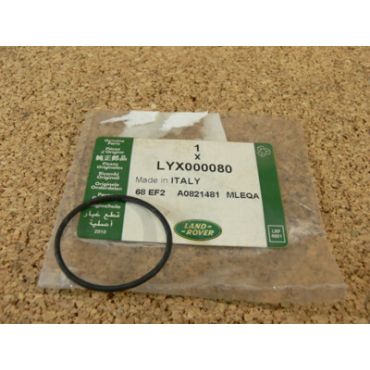 Oil Strainer Oring 35mm LYX000080