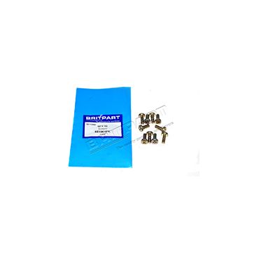 SCREW SE106161L