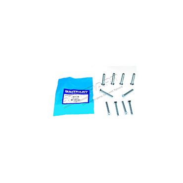 SCREW (OEM) SF106401