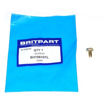 SCREW (OEM) SH106101L